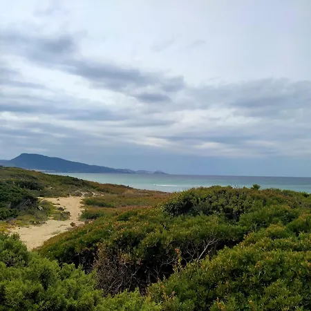 Baia Delle Mimose M4 *